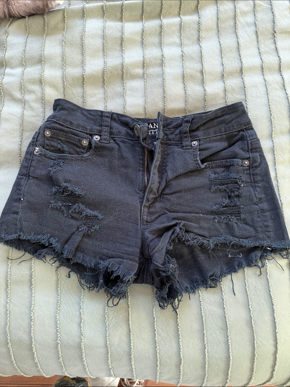 American Eagle Outfitters Black Distressed Cutoff Jean Shorts